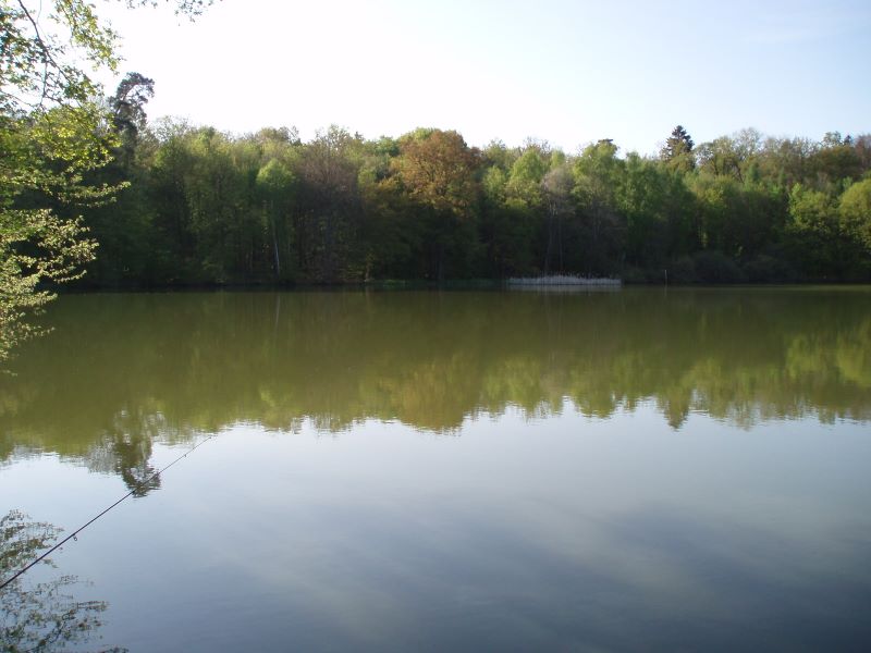 Der Stachelsee